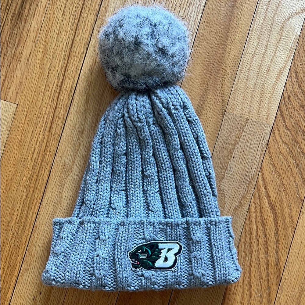 Binghamton Gray Knit Pom-Pom Beanie